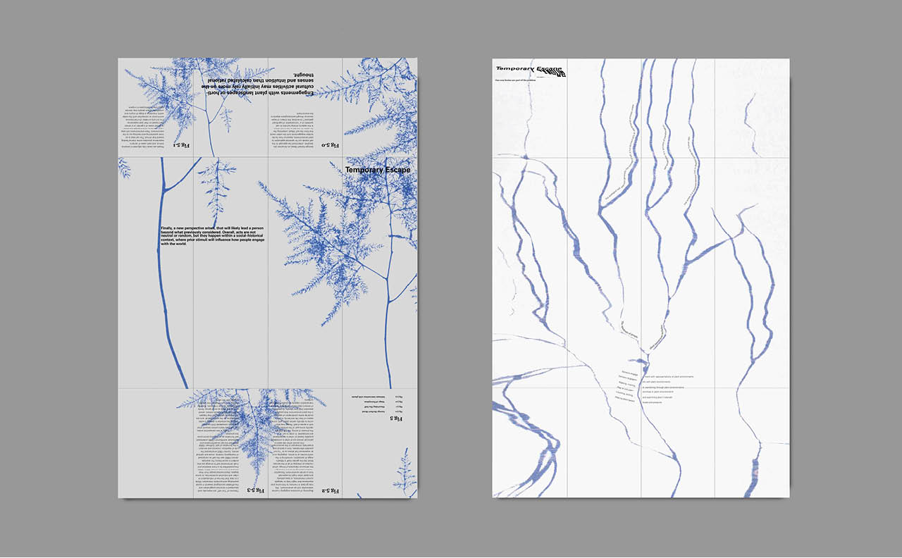 Aoife Shaw ProjectA 3 by new-project-page