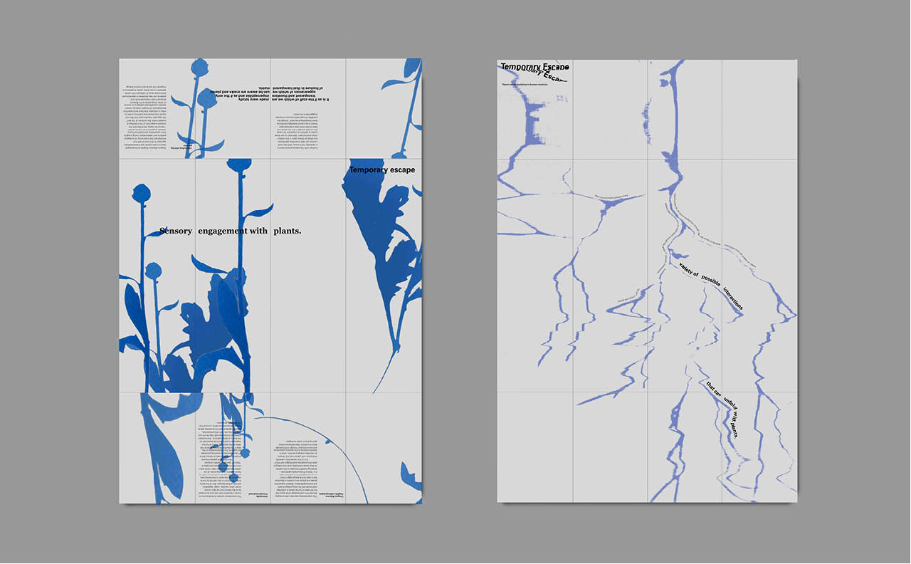 Aoife Shaw projectA 2 by new-project-page