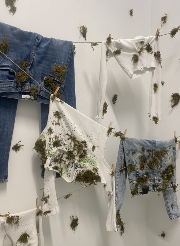 Shauna  Dunne 