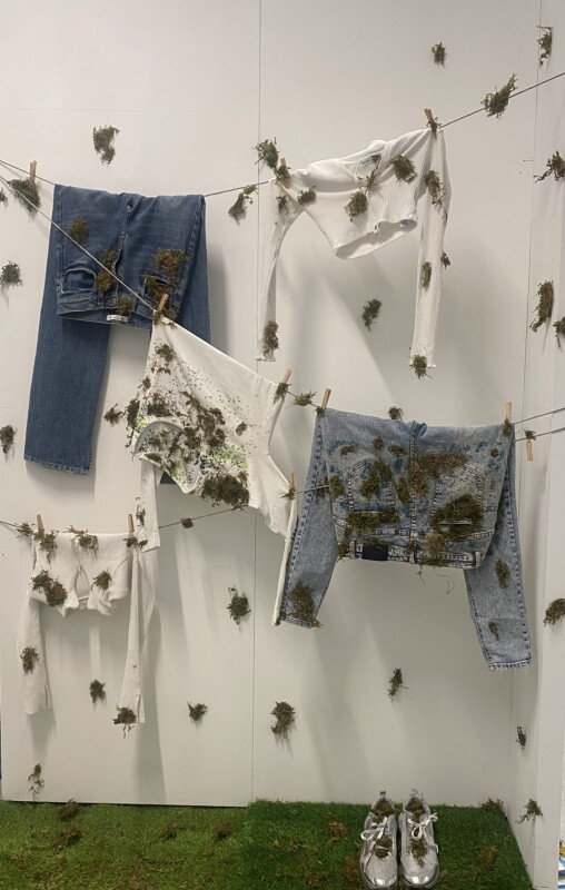 Shauna  Dunne 